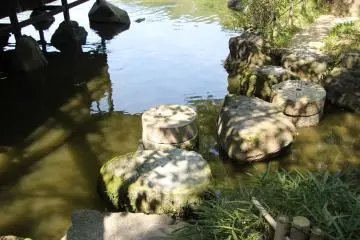 <p>These stepping stones take you to the islands in the middle of the pond</p>