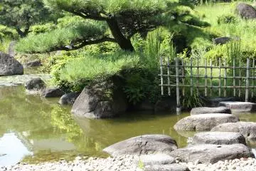 <p>Unfortunately it's prohibited to go to the middle of the pond</p>
