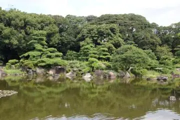 <p>Ocean, mountains and forest</p>