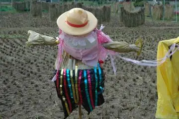 <p>Setiap tahun, orang-orangan untuk menakuti burung yang berwarna-warni dibuat oleh anak-anak dari taman kanak-kanak terdekat yang dipajang di persawahan</p>