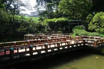 Hidden Garden in Harajuku