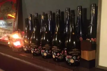 Old bottles lined up for display. (Photo: Sarah Elisabeth Chaney)
