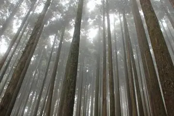 <p>Clouds and fog on the day I climbed the mountain lent it a fantastic and mysterious atmosphere</p>