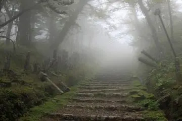 <p>The final stairs to the main hall, it actually was a temple in and above the clouds on my visit</p>