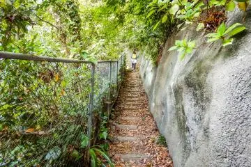 <p>This narrow path soon leads into dense forest</p>