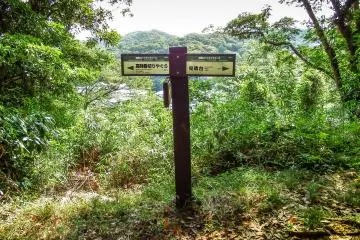 <p>Despite its close proximity to a residential neighbourhood just a few meters below, this trail&nbsp;remains virtually hidden to the outside world</p>