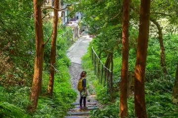 <p>Nearing the end! The sight of a residential neighborhood appearing through the forest canopy in the distance marks the end of this hiking course</p>