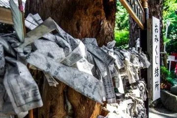 <p>An area containing many 'Omikuji` where you can make a wish for the future</p>