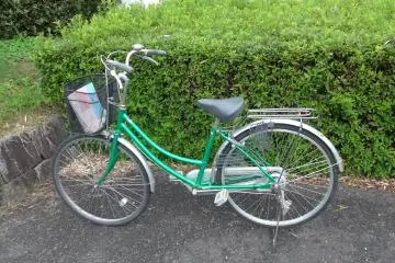 You can easily rent a bicycle for a day.