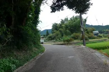 You can cycle comfortably on the paved roads while still being close to nature.