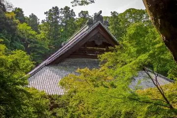 <p>Bien qu'il y ait une entr&eacute;e officielle, je suis entr&eacute; dans ce temple par l'arri&egrave;re, en descendant par un sentier qui relie ce temple &agrave; la randonn&eacute;e p&eacute;destre Gionyama. Ce grand toit est ce que je vis en premier de cet imposant complexe</p>