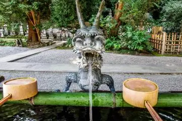 <p>Le premier des nombreux dragons que vous pourrez apercevoir ici</p>