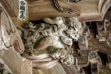 <p>Dans le toit se cache un autre dragon</p>