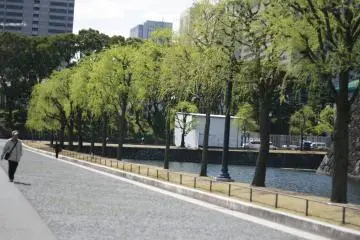 <p>This uncrowded area is popular with joggers</p>