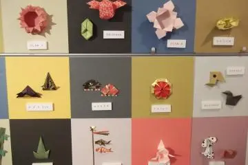 <p>...and lots of different end products</p>