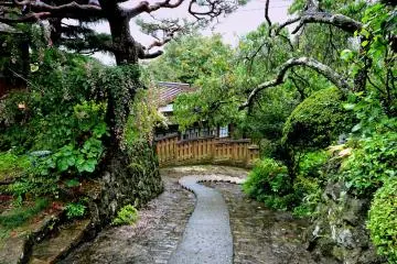 Beautiful even in the rain