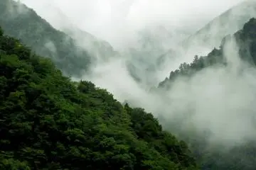 Clouds in the folds of nearby mountains
