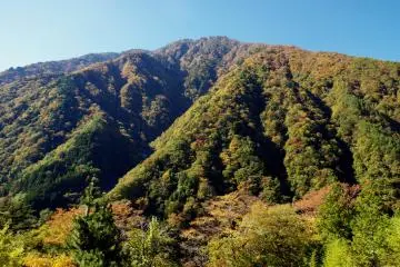 Mountain showing a touch of color as the trees start to turn in early autumn