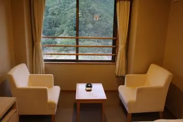<p>Chairs by the window</p>