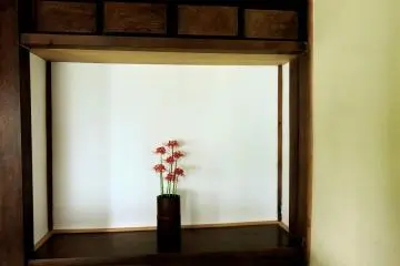 <p>Red spider lilies in a tall vase</p>