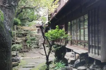 <p>A little garden for you to contemplate.</p>
