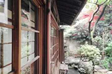 <p>Garden view from inside.</p>