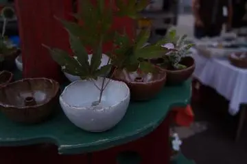 <p>อิเคะบะนะ (Ikebana) หรือชุดจัดดอกไม้เป็นที่นิยมมาก</p>