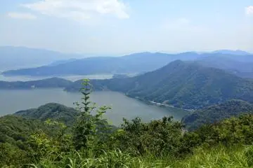 <p>La vue panoramique</p>