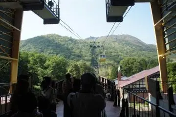 Gallery image