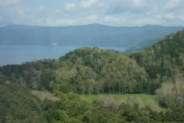 <p>Pepohonan siap menyambut musim gugur. Terlihat Danau Toya di belakangnya.</p>