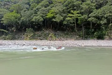 <p>The moment the Kawasemi came to a stop on the rapid's quick water</p>