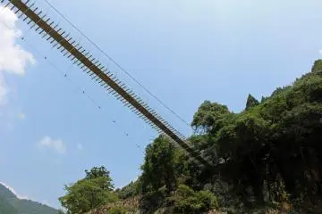 <p>Looking up at the Yamabiko Suspension Bridge</p>