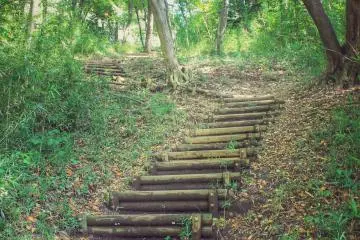 <p>Hiking through the park</p>