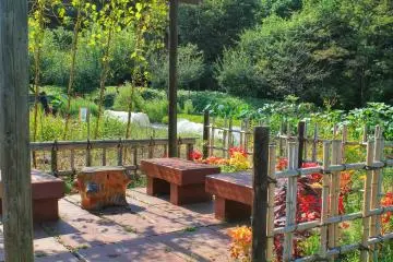 <p>A lovely place to sit down</p>