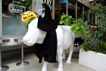 Shibuya Cheese Stand
