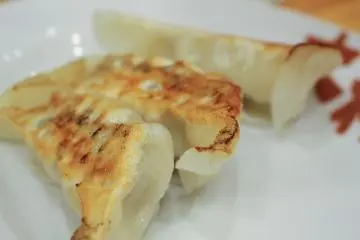 <p>More gyoza</p>
