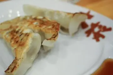 <p>Gyoza dumplings</p>
