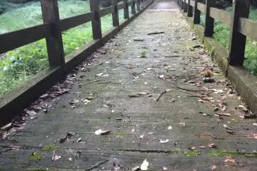 <p>Sebrangi jembatan untuk melihat ada apa lagi selanjutnya!</p>