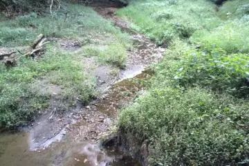 <p>Sungai kecil sepanjang salah satu jalan setapak pendakian menambah cantik pemandangan.</p>