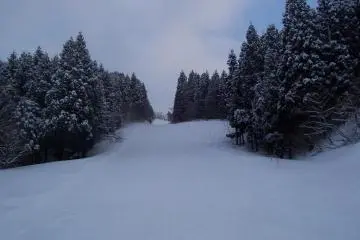A nice peaceful path