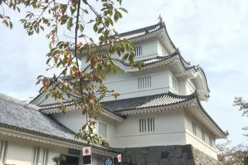 Gallery image