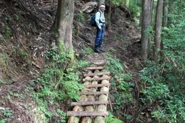 <p>A log and plank bridge near the trailhead</p>