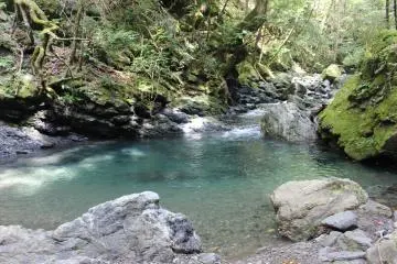 <p>The Amago Pool</p>