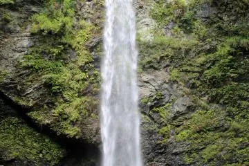 <p>The Myojin no Taki Waterfall from head on</p>