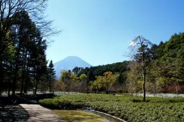<p>Taman yang indah dengan latar pegunungan yang menawan</p>