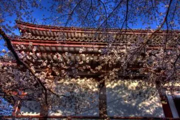 Zojo-ji