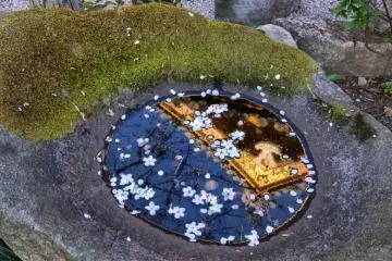 Small reflection pool