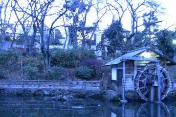 <p>แสงสนธยาเยือนสวนสาธารณะโชโตะ</p>