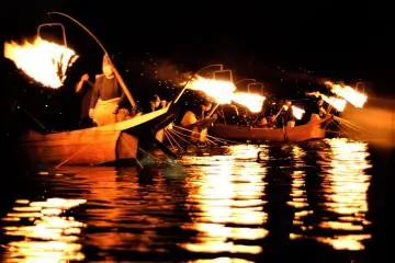 Cormorant Fishing in Uji