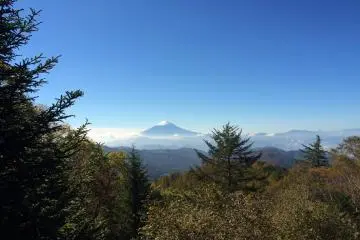 <p>Out from the trees come Mt. Fuji.</p>